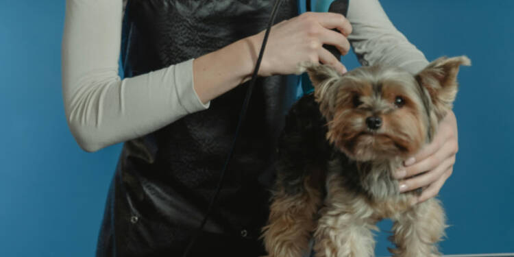 pexels tima miroshnichenko 6131003 2025 08 05 094053