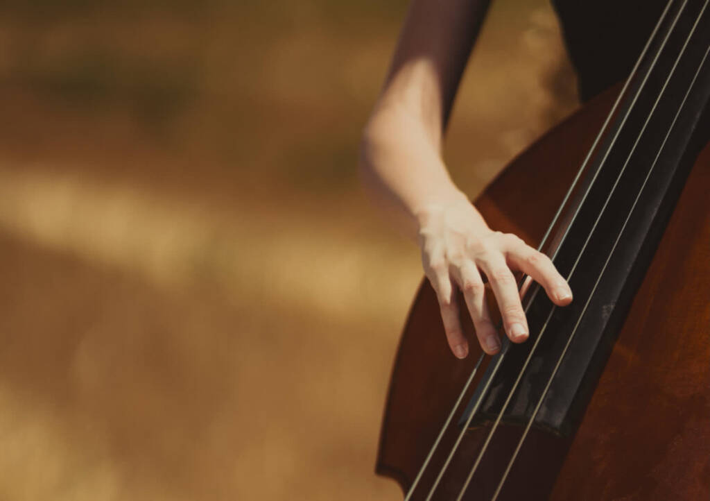 pexels zafer erdogan 49915050 32510228 2025 08 15 150410