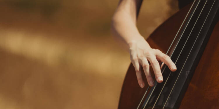 pexels zafer erdogan 49915050 32510228 2025 08 15 150410