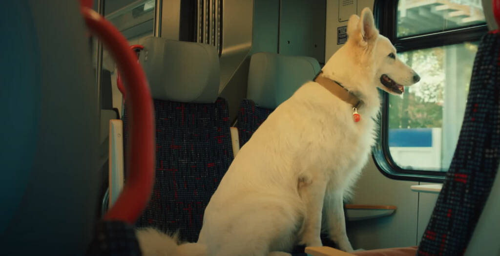 pies 2025 08 07 113708