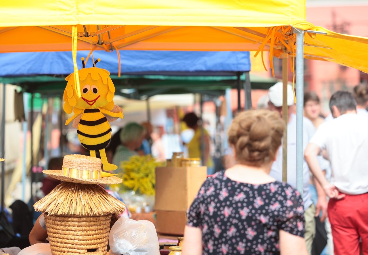 Lublin jest słodki. Miodowe święto na Starym Mieście [ZDJĘCIA]