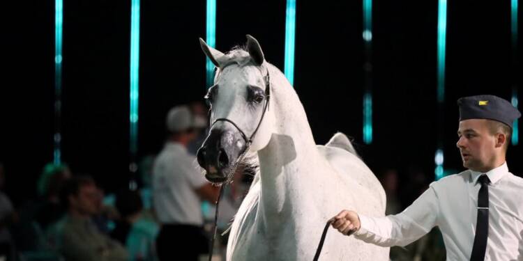 pm aukcja 110824 028 2025 08 01 224414