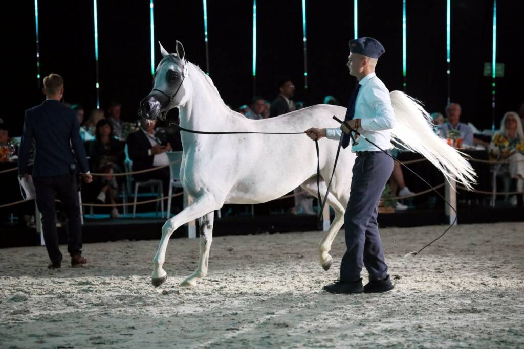 pm aukcja 110824 045 2025 08 01 162052