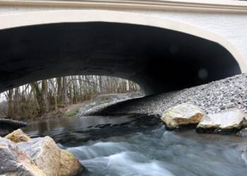 pm bysttrzyca 270123 028 2023 01 27 183614 2025 08 23 152745