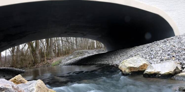 pm bysttrzyca 270123 028 2023 01 27 183614 2025 08 23 152745