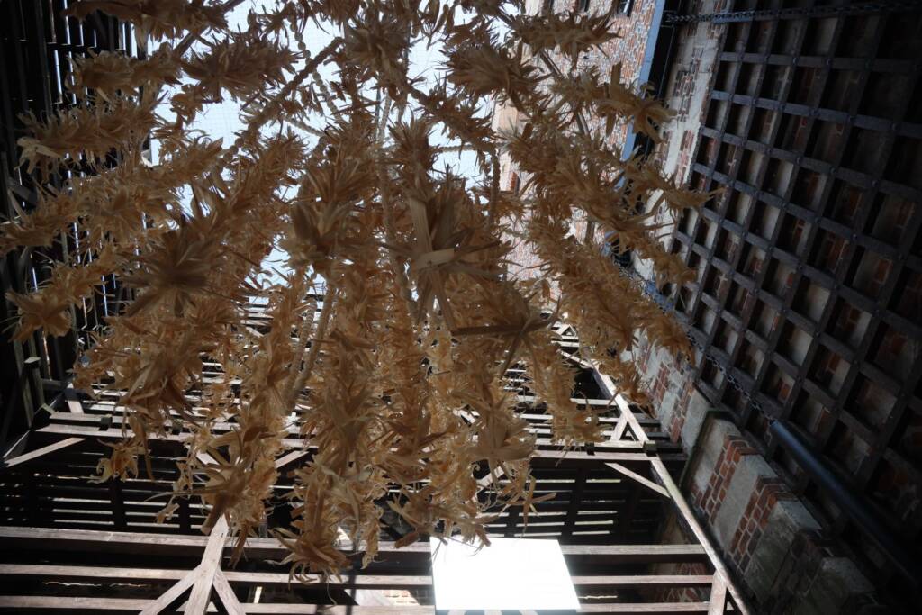 pm jarmark 240824 034 2025 08 22 200137