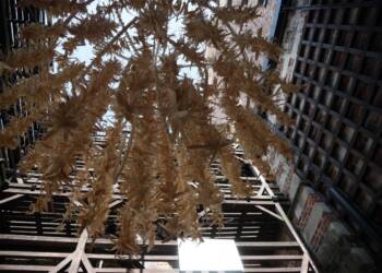 2024.08.24. LUBLIN . JARMARK JAGIELONSKI . FESTIWAL RE:TRADYCJA . 
FOT. PIOTR MICHALSKI