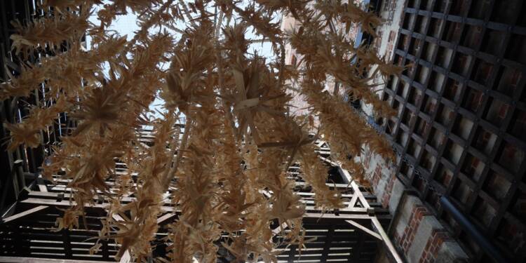 2024.08.24. LUBLIN . JARMARK JAGIELONSKI . FESTIWAL RE:TRADYCJA . 
FOT. PIOTR MICHALSKI