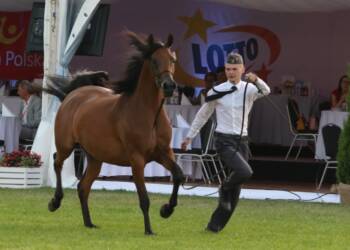 pm koonieee010 2025 08 08 165844 2025 08 08 195045