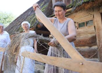 2024-09-08T10:26:48:84 ,  Fot. Piotr Michalski 
2024.09.08. LUBLIN . MUZEUM WSI LUBELSKIEJ . LEN .
FOT. PIOTR MICHALSKI