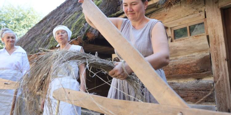 2024-09-08T10:26:48:84 ,  Fot. Piotr Michalski 
2024.09.08. LUBLIN . MUZEUM WSI LUBELSKIEJ . LEN .
FOT. PIOTR MICHALSKI