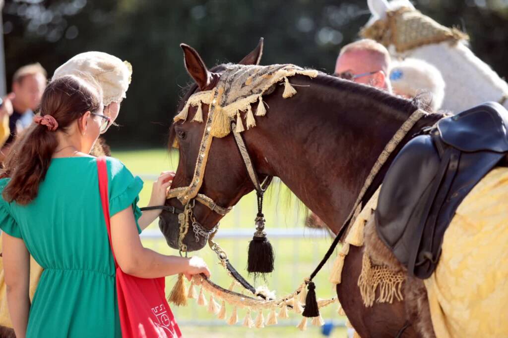 pm stadnina 120823 023 2025 08 07 071530