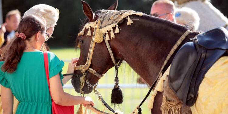 pm stadnina 120823 023 2025 08 07 071530