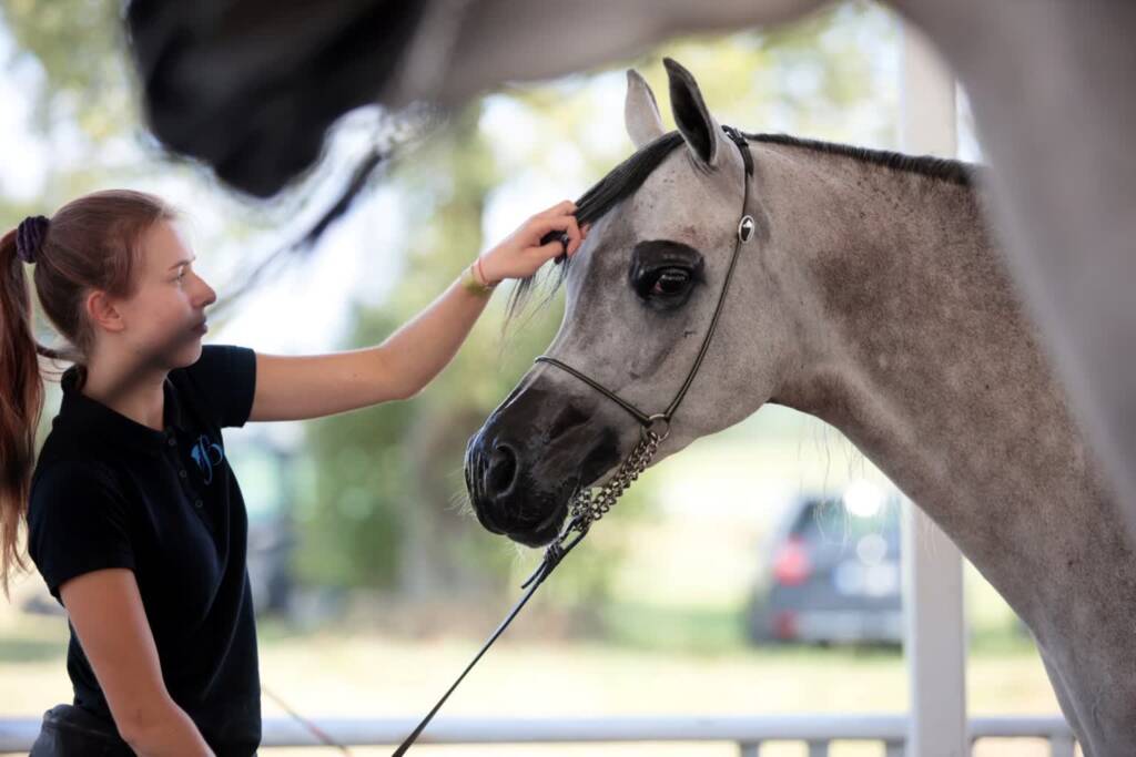 pm stadnina 120823 046 2023 08 13 083235 2025 08 05 134917