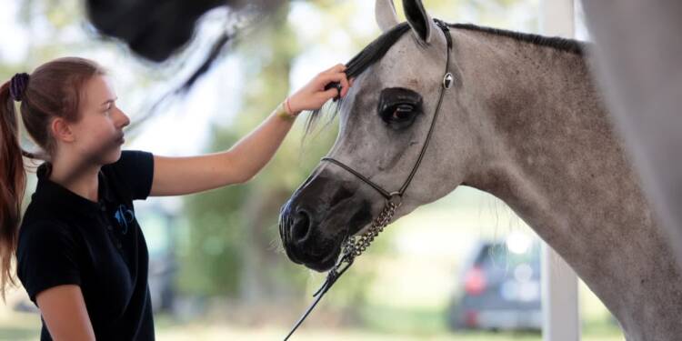 pm stadnina 120823 046 2023 08 13 083235 2025 08 05 134917 2025 08 07 192639