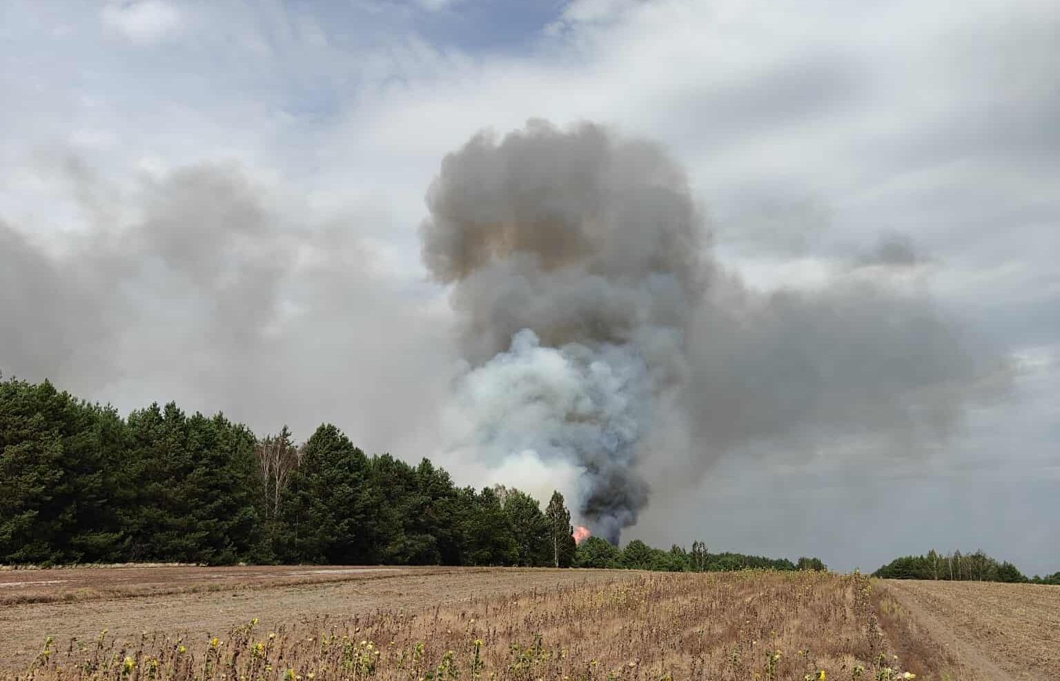 Wielki pożar. Płoną hektary lasu