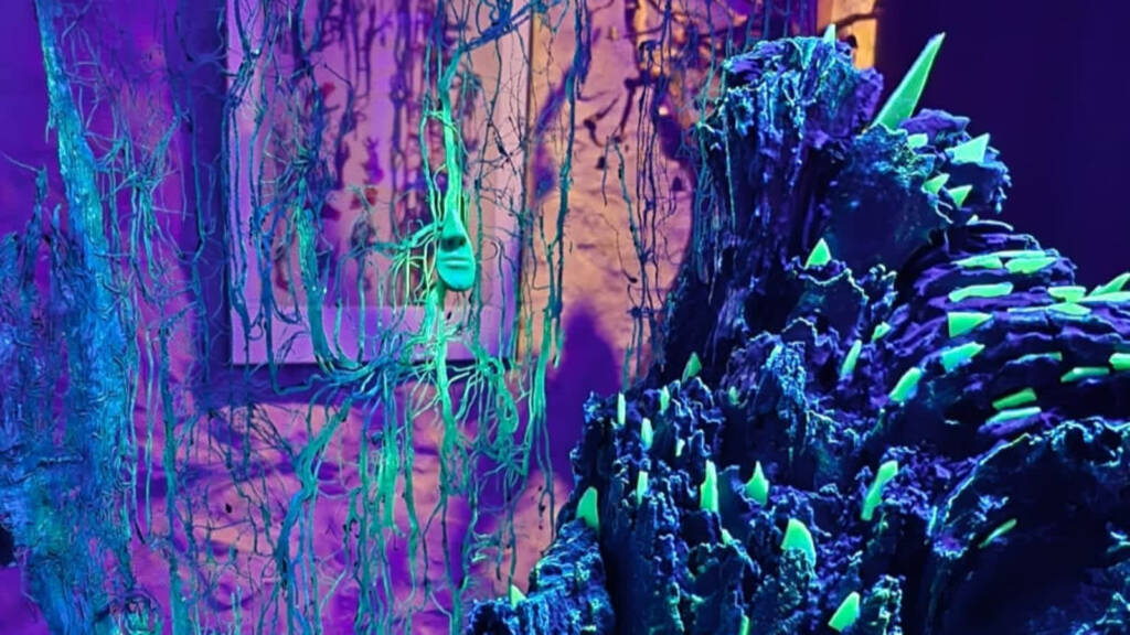 Nietypowe królestwo na niezwykłej wystawie 1 przyrodnicze 2025 08 07 201826