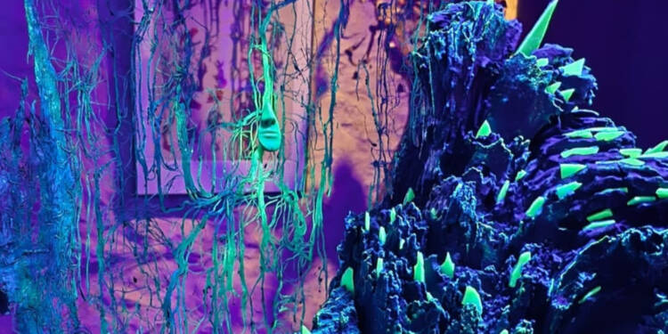 Nietypowe królestwo na niezwykłej wystawie 1 przyrodnicze 2025 08 07 201826