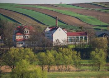 Bohater narodowy na szkole. Patron ozdobił ścianę 11 rachanie