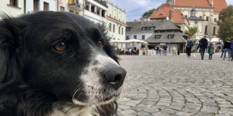 14.08.2025 Katarzyna Michalak "Tito z Rynku" 1 tito 2025 08 14 192914