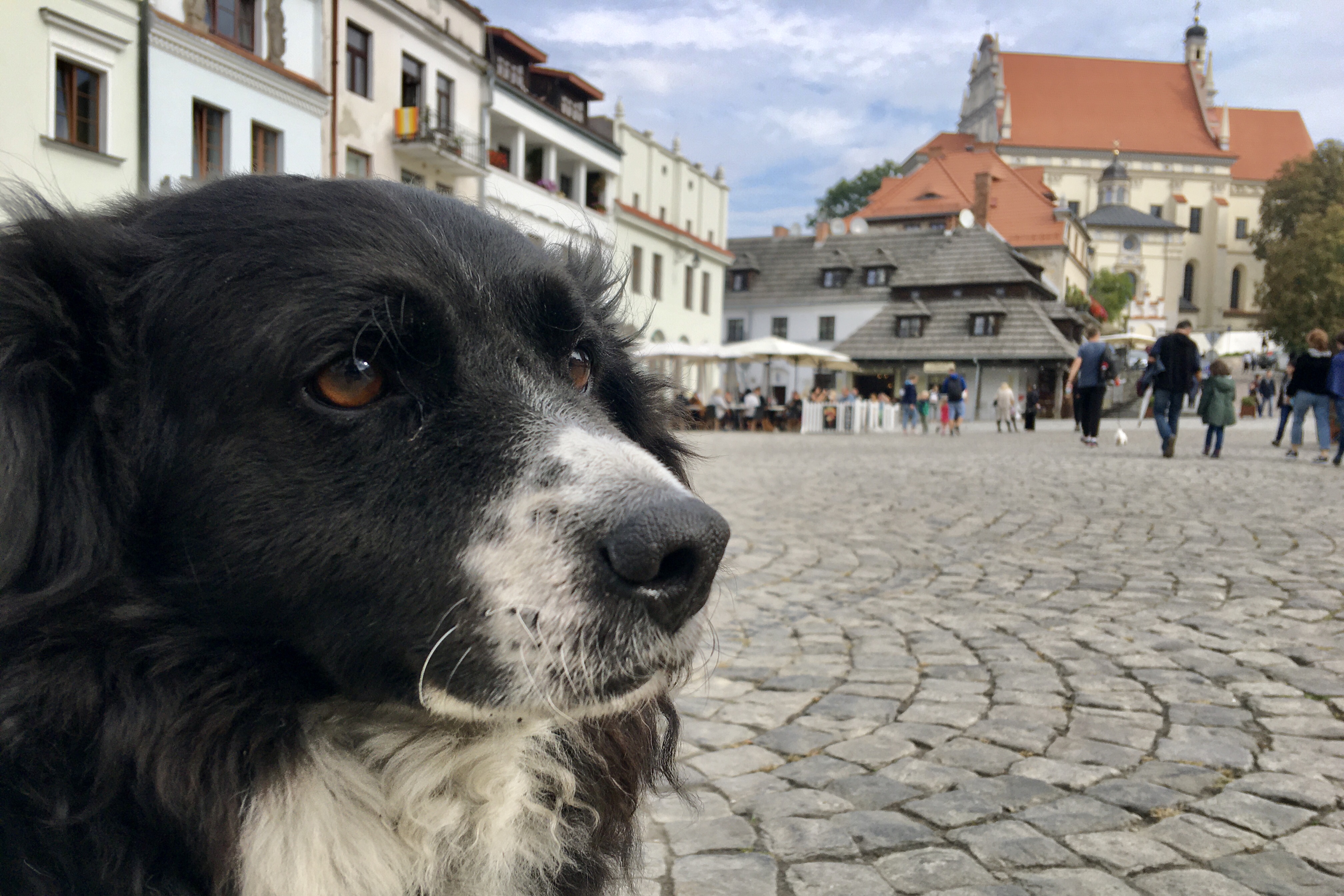 14.08.2025 Katarzyna Michalak „Tito z Rynku”