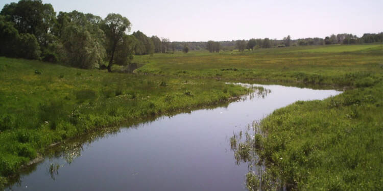 Zanieczyszczone wody, tysiące martwych ryb. Śledztwo prokuratury w Chełmie 1 uherka3 2025 08 07 122309