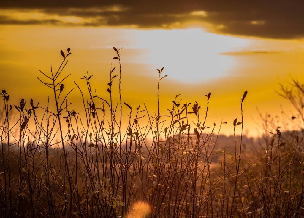 view 4673158 1280 2025 08 22 153019