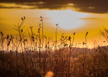 view 4673158 1280 2025 08 22 153019