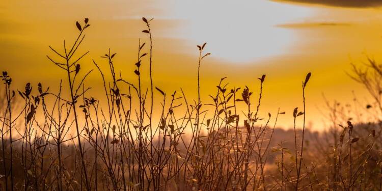 view 4673158 1280 2025 08 22 153019