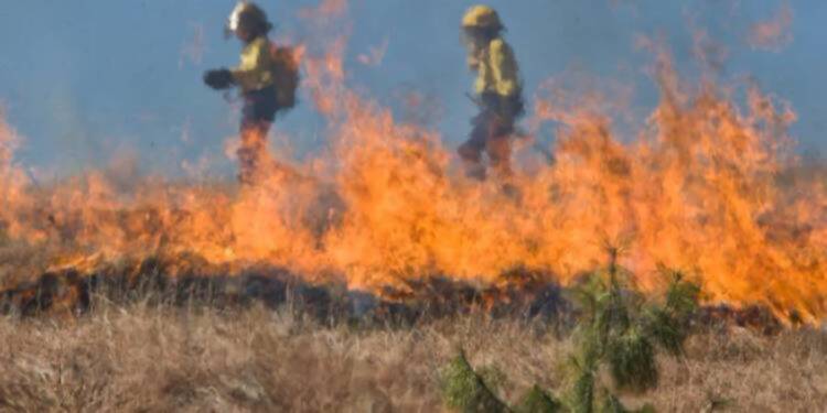 wypalanie 2025 08 18 213926