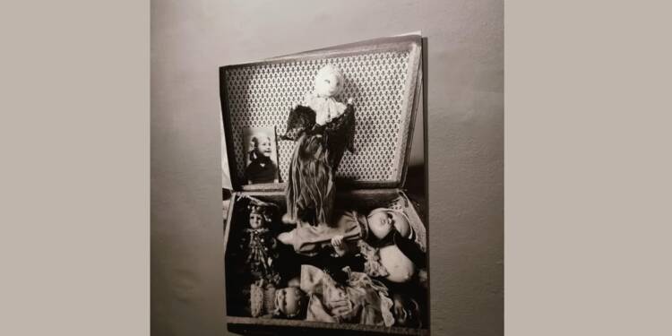 wystawa 2025 08 25 175117