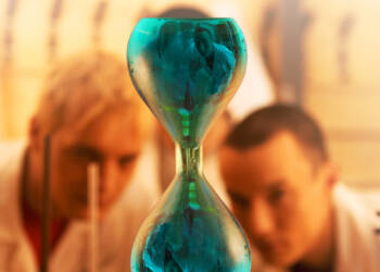 zbiorcza810x700 2025 08 25 110256