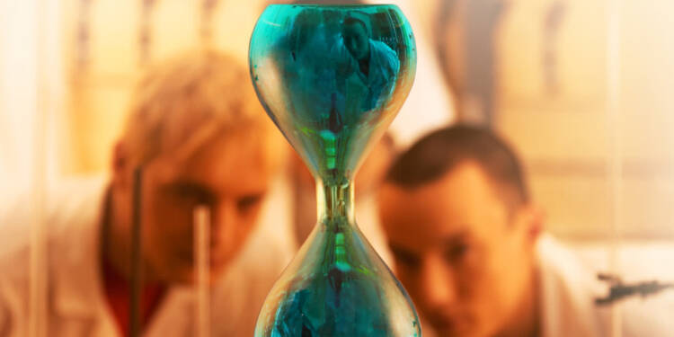 zbiorcza810x700 2025 08 25 110256