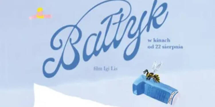 zdj 2025 08 13 072836