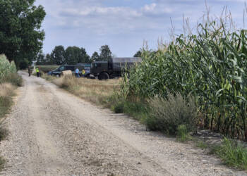 zdj6 2025 08 20 123628