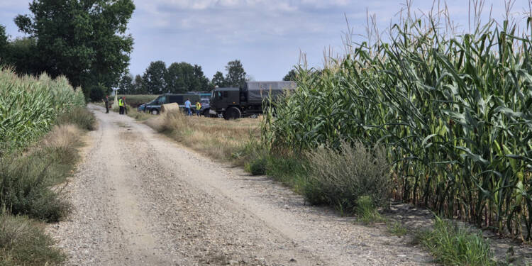 zdj6 2025 08 20 123628