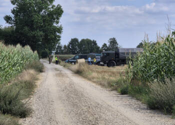 zdj6 2025 08 20 155738