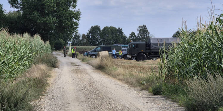 zdj6 2025 08 20 180925