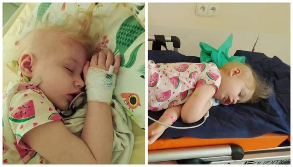 zooosia 2025 08 05 191158