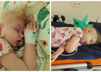 zooosia 2025 08 05 191158