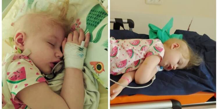 zooosia 2025 08 05 191158