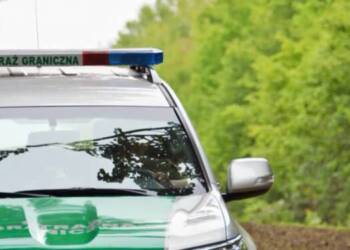 MSWiA chce przedłużenia kontroli na granicy z Niemcami i Litwą 6 12 196459 2021 06 22 133649 2021 07 14 113334 1140x570 2021 08 19 145236 750x375 2023 02 17 183033 750x375 1