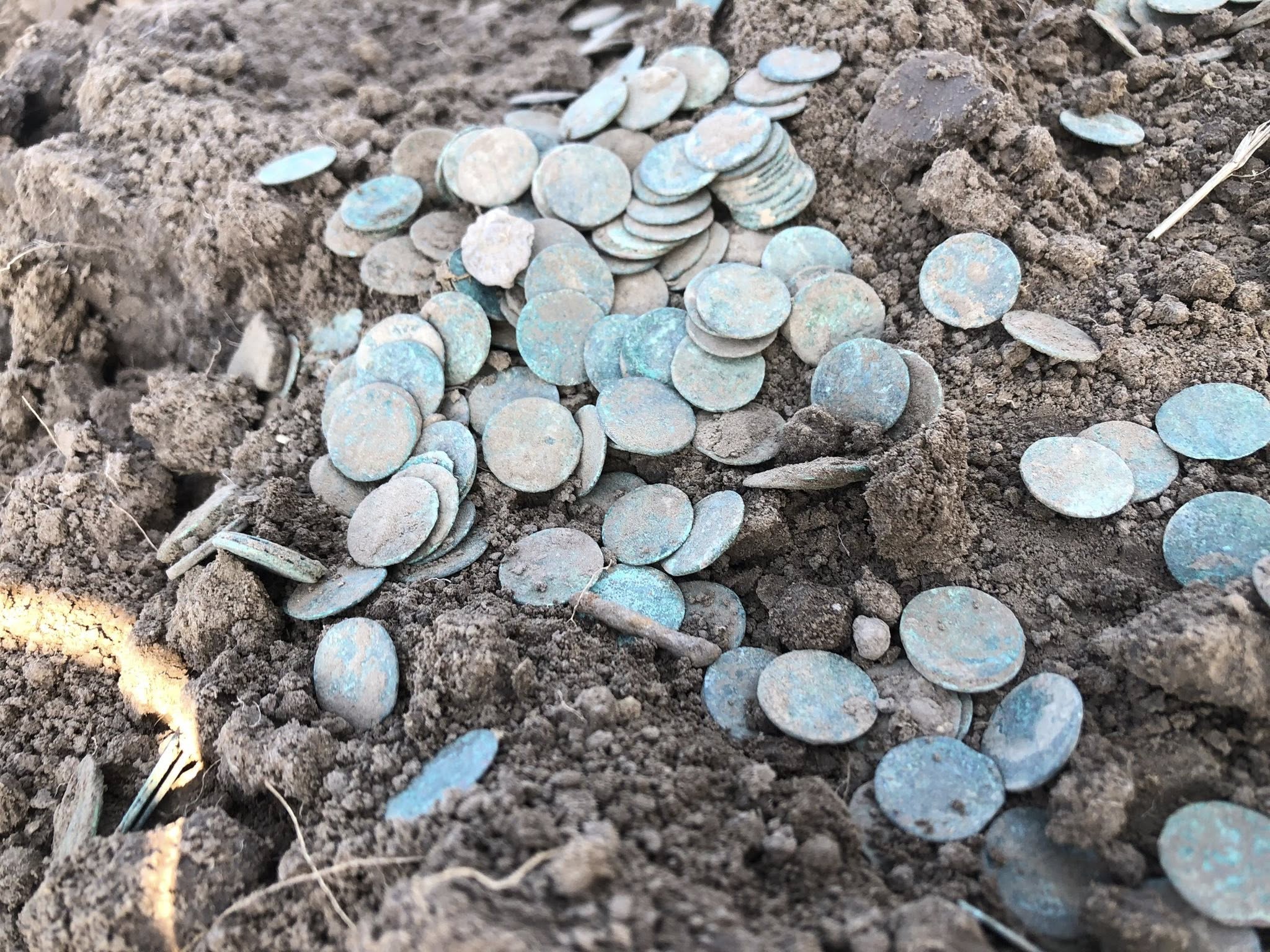 Pod ziemią leżał niezwykły skarb. Sensacyjne znalezisko w pobliżu Hrubieszowa [ZDJĘCIA]