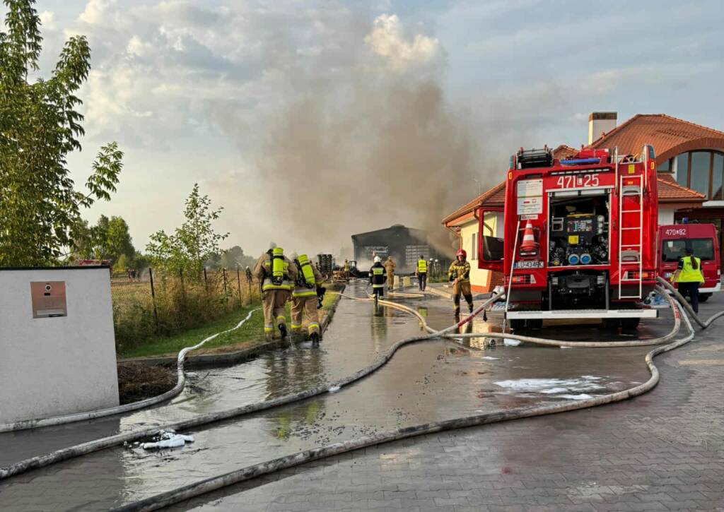 541452900 1099808548959715 651284550498606258 n