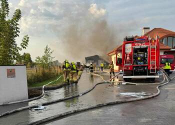 541452900 1099808548959715 651284550498606258 n