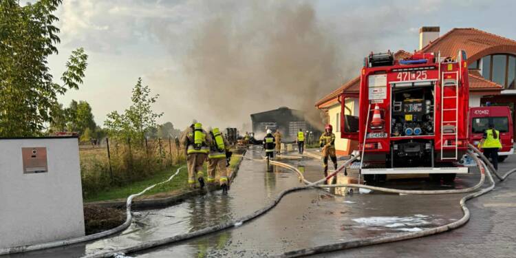 541452900 1099808548959715 651284550498606258 n