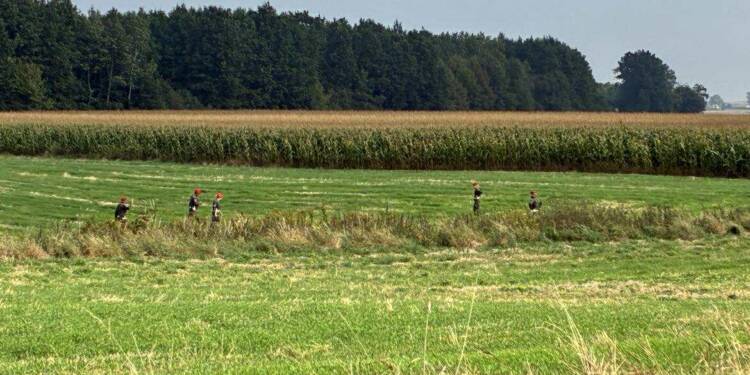 541781106 2858870164503294 8934050453364308254 n 1