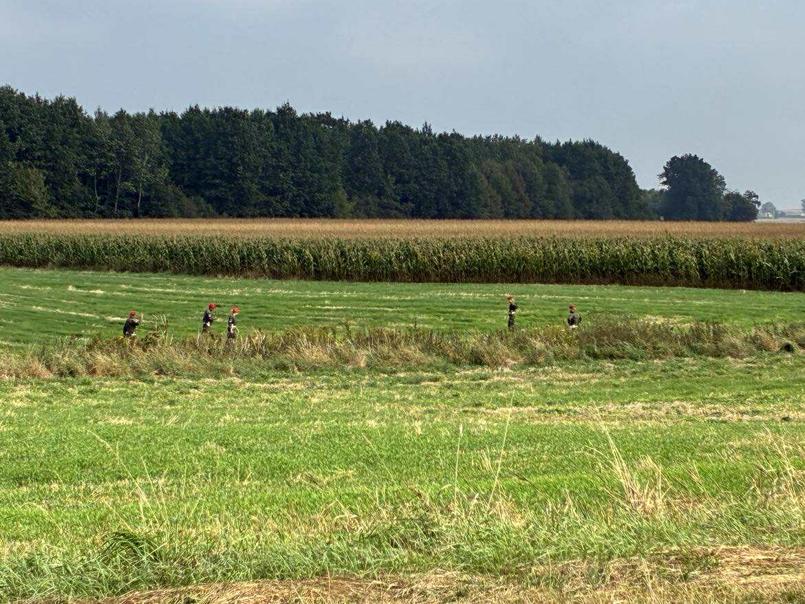 Wiceminister rolnictwa: To dla nas wszystkich nowa sytuacja, ale nie możemy wprowadzać paniki