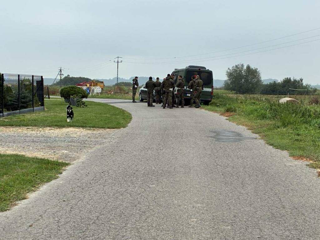 541942606 4203094550011392 5543043972815197490 n