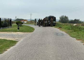 541942606 4203094550011392 5543043972815197490 n